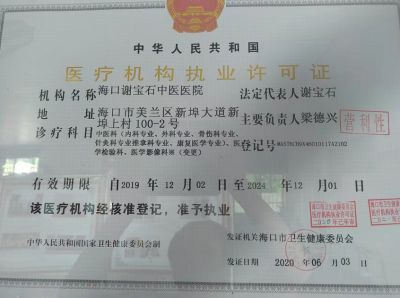 中国当代名医——谢宝石