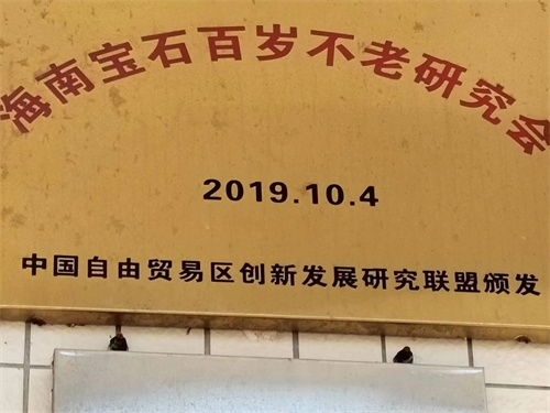 中国当代名医——谢宝石