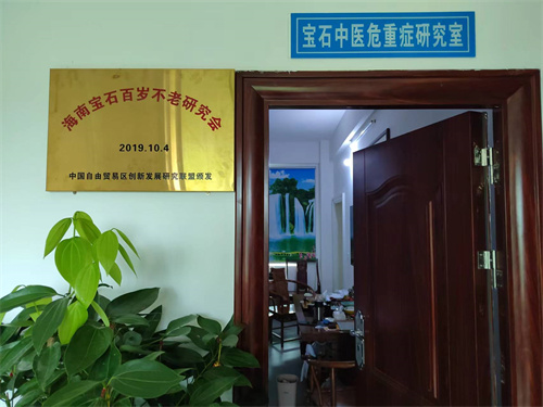 中国当代名医——谢宝石