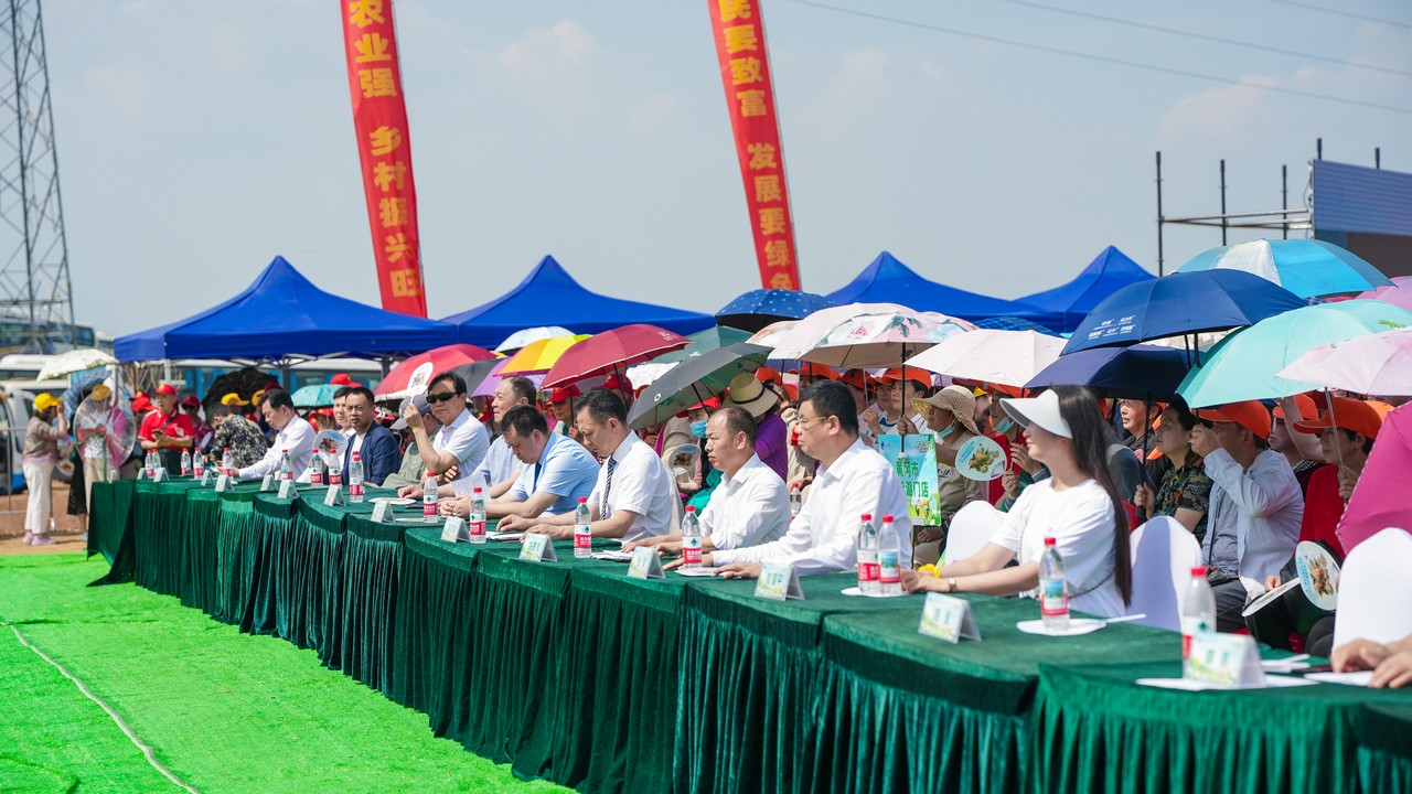 做优特色农业 助力乡村振兴——星瑞集团广水土鸡项目认养活动（第三季）在湖北广水举行(图4)