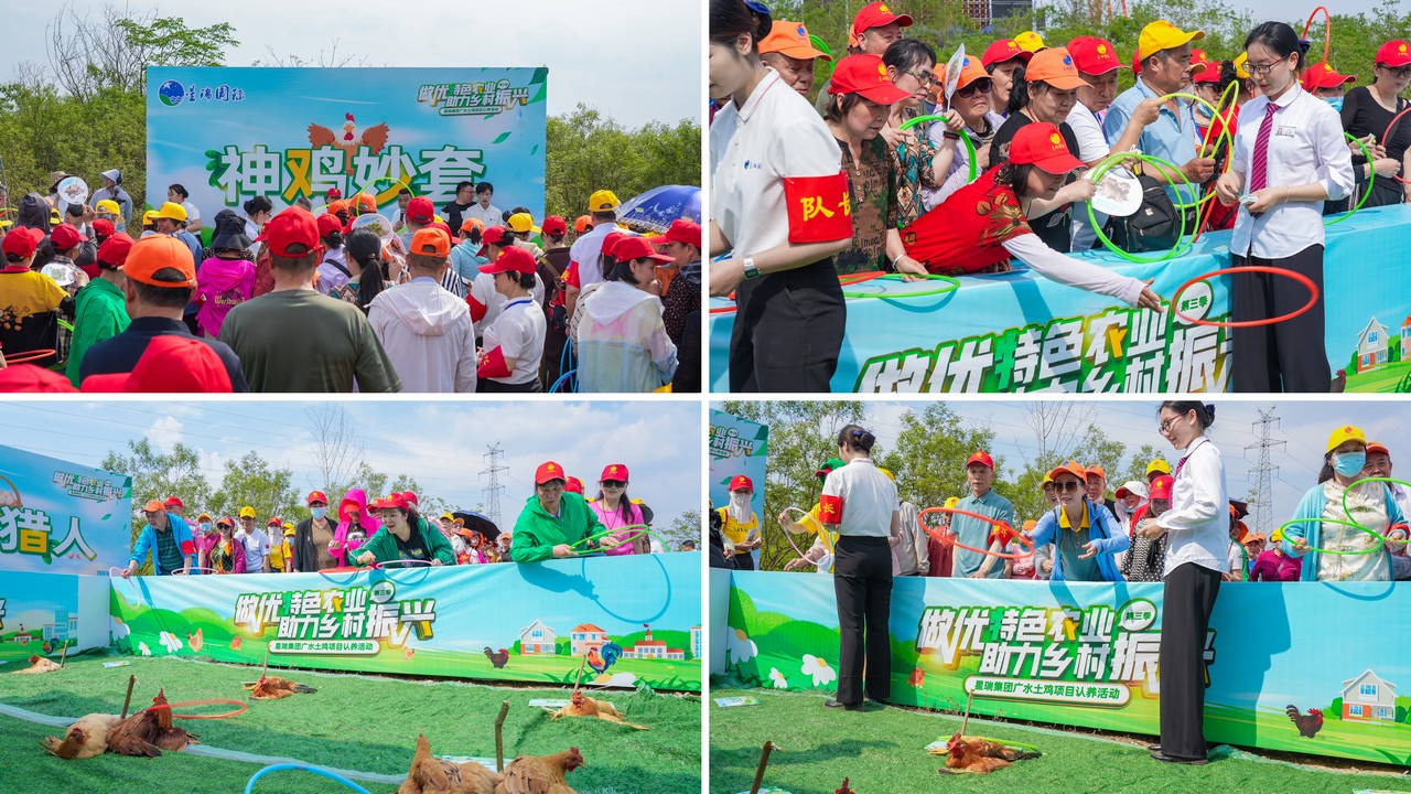 做优特色农业 助力乡村振兴——星瑞集团广水土鸡项目认养活动（第三季）在湖北广水举行(图18)