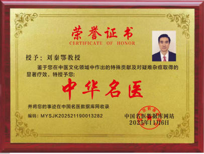 央视 新闻人物 中医走向世界——刘秦鄂