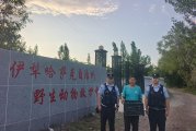 幼鹰坠树受伤 警民暖心接力救助